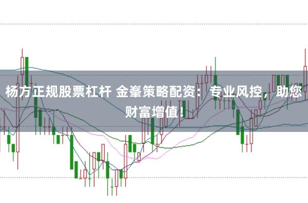 楊方正規(guī)股票杠桿 金峯策略配資：專業(yè)風(fēng)控，助您財(cái)富增值！