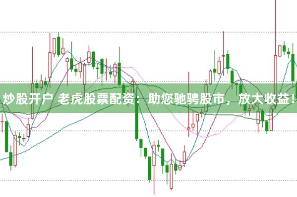 炒股開戶 老虎股票配資：助您馳騁股市，放大收益！