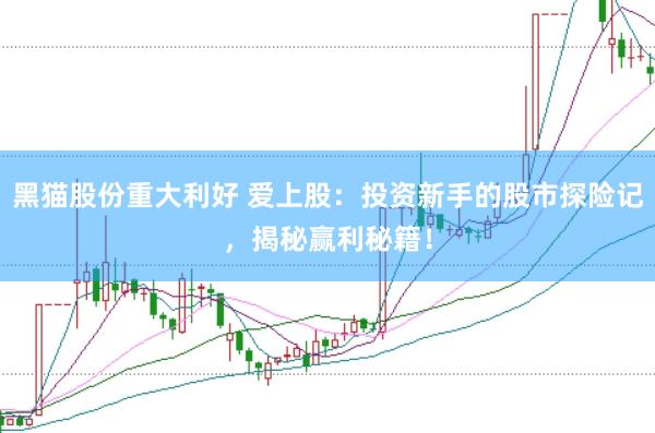 黑貓股份重大利好 愛上股：投資新手的股市探險記，揭秘贏利秘籍！