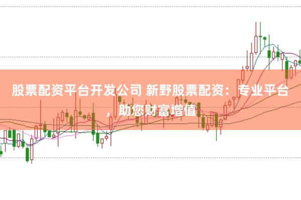 股票配資平臺(tái)開發(fā)公司 新野股票配資：專業(yè)平臺(tái)，助您財(cái)富增值