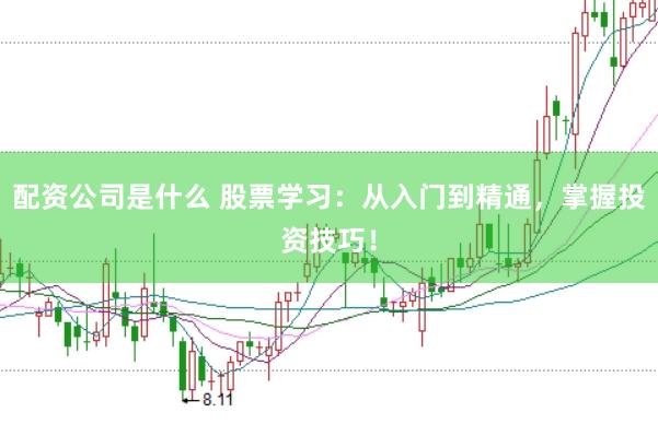 配資公司是什么 股票學(xué)習(xí)：從入門到精通，掌握投資技巧！